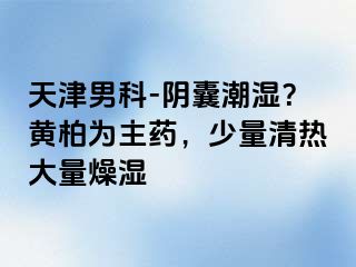 天津男科-阴囊潮湿？黄柏为主药，少量清热大量燥湿